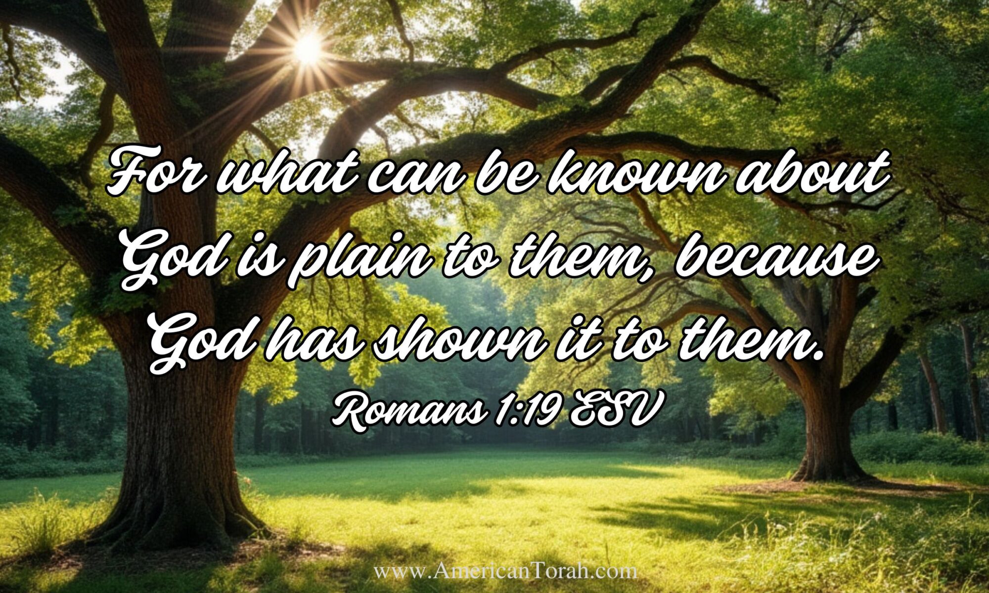 For what can be known about God is plain to them, because God has shown it to them. For his invisible attributes, namely, his eternal power and divine nature, have been clearly perceived, ever since the creation of the world, in the things that have been made. So they are without excuse. Romans 1:19-20 ESV